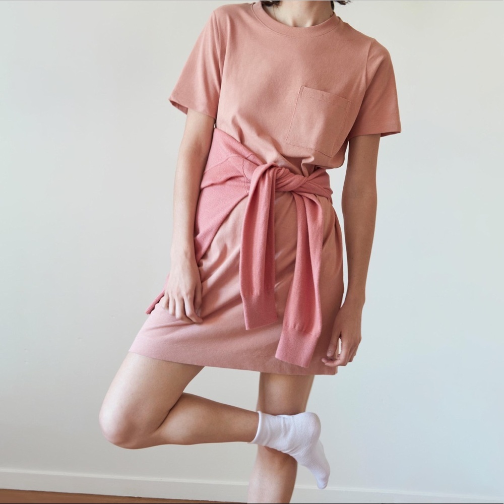 Everlane Cotton Weekend Tee Dress XS EUC in Neutral Pink Beige
